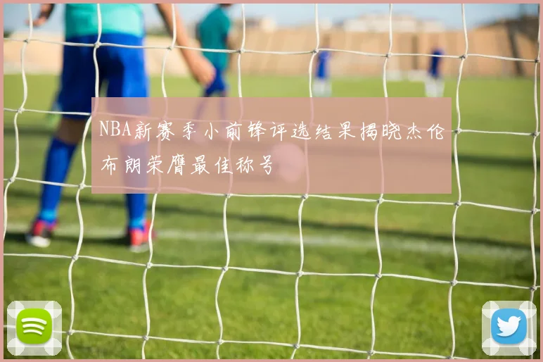 NBA新赛季小前锋评选结果揭晓杰伦布朗荣膺最佳称号